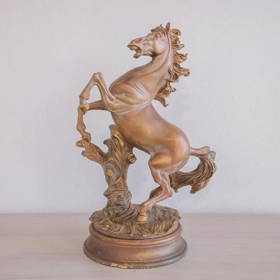 Cavallino Holiday Desenzano del Garda